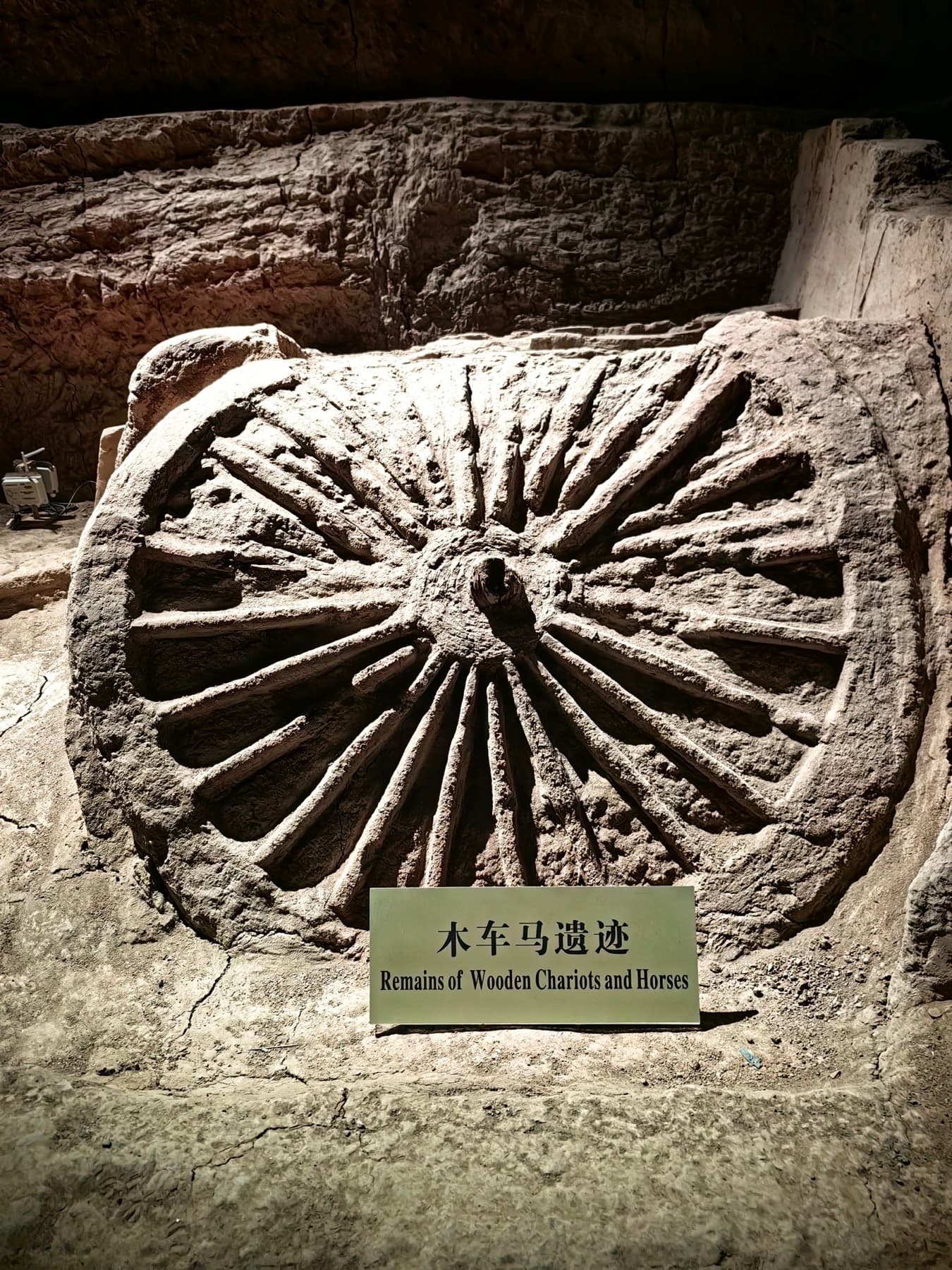 从模拟探方到世界舞台：星途英才汉阳陵文化研学 活动照片 5